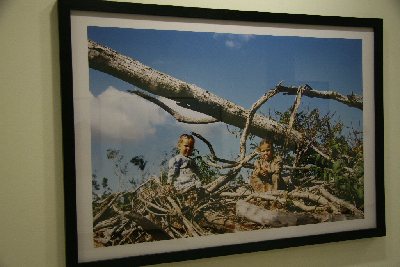 'Felix Curto. Siguiendo la Estrella' y una seleccin de fotografias del III Premio Pilar Citoler en la sala Puerta Nueva