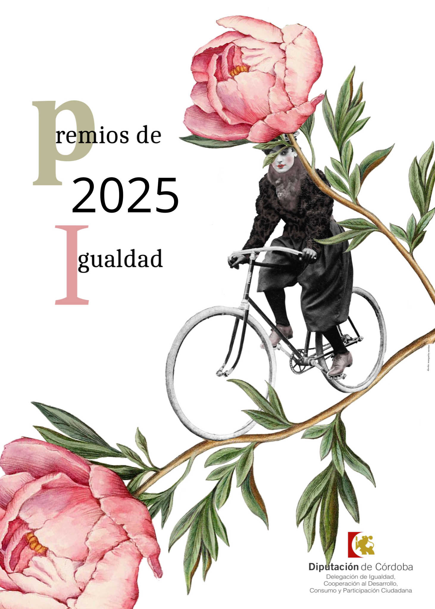 imagen premios 2025