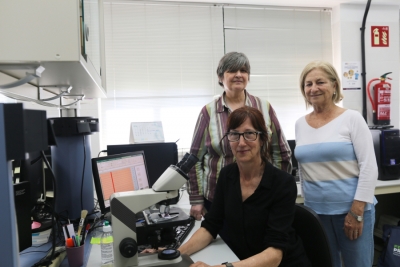 Researchers Carmen Torres,  Pura Alcázar and Carmen Galán 