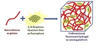 Development of an easy-to-use eco-friendly  fluorescent enzyme detection platform