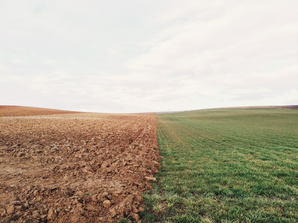 Las prácticas agrícolas para mitigar el cambio climático y la erosión